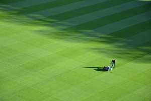 Areal- und Rasenpflege