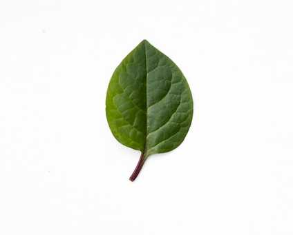 Aktualisiertes Rechtsgutachten zur umweltfreundlichen öffentlichen Beschaffung