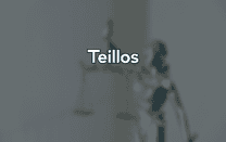 Teillos