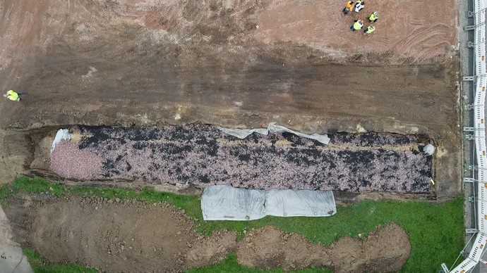 Beim Bauvorhaben „Platzgestaltung Nicolaiplatz Magdeburg“ wurden zahlreiche neue Bäume à la „Magdeburger Baumquartier“ gepflanzt, mit Gehbereichen sowie einspurigen Fahrbereichen dazwischen. | Foto: Kriewald 2023