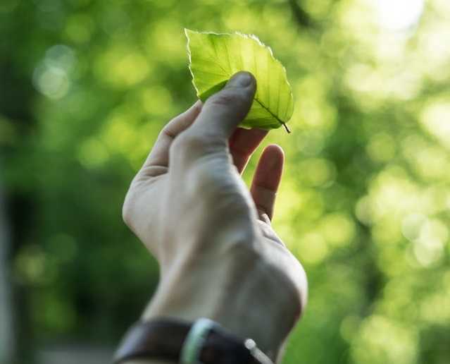 Nach der Probezeit von zwei Jahren wird das Kompetenzzentrum auch weiterhin gefördert.