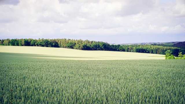 Der Deutsche Gewerkschaftsbund unterstützt den Vorschlag in Thüringen einen Vergabemindestlohn einzuführen.