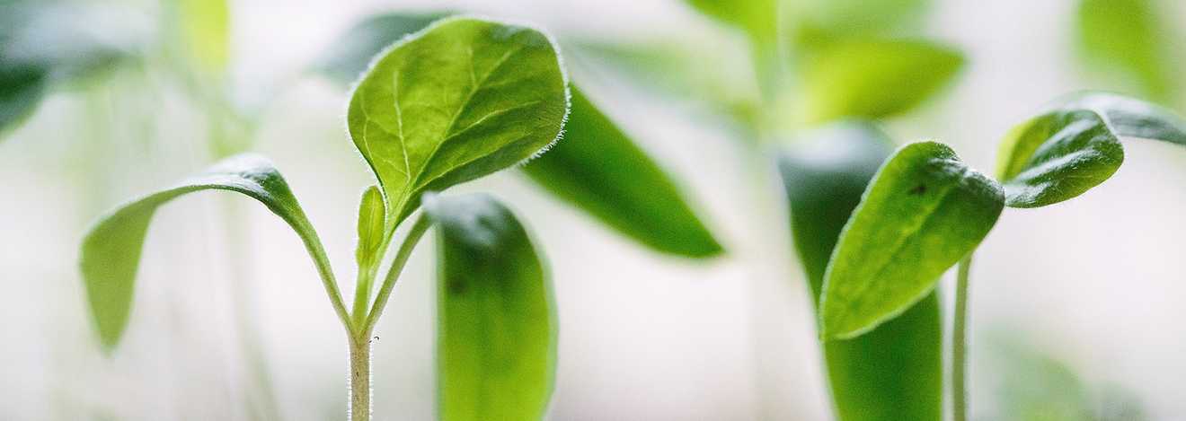 Nachhaltigkeit im Vergabewesen