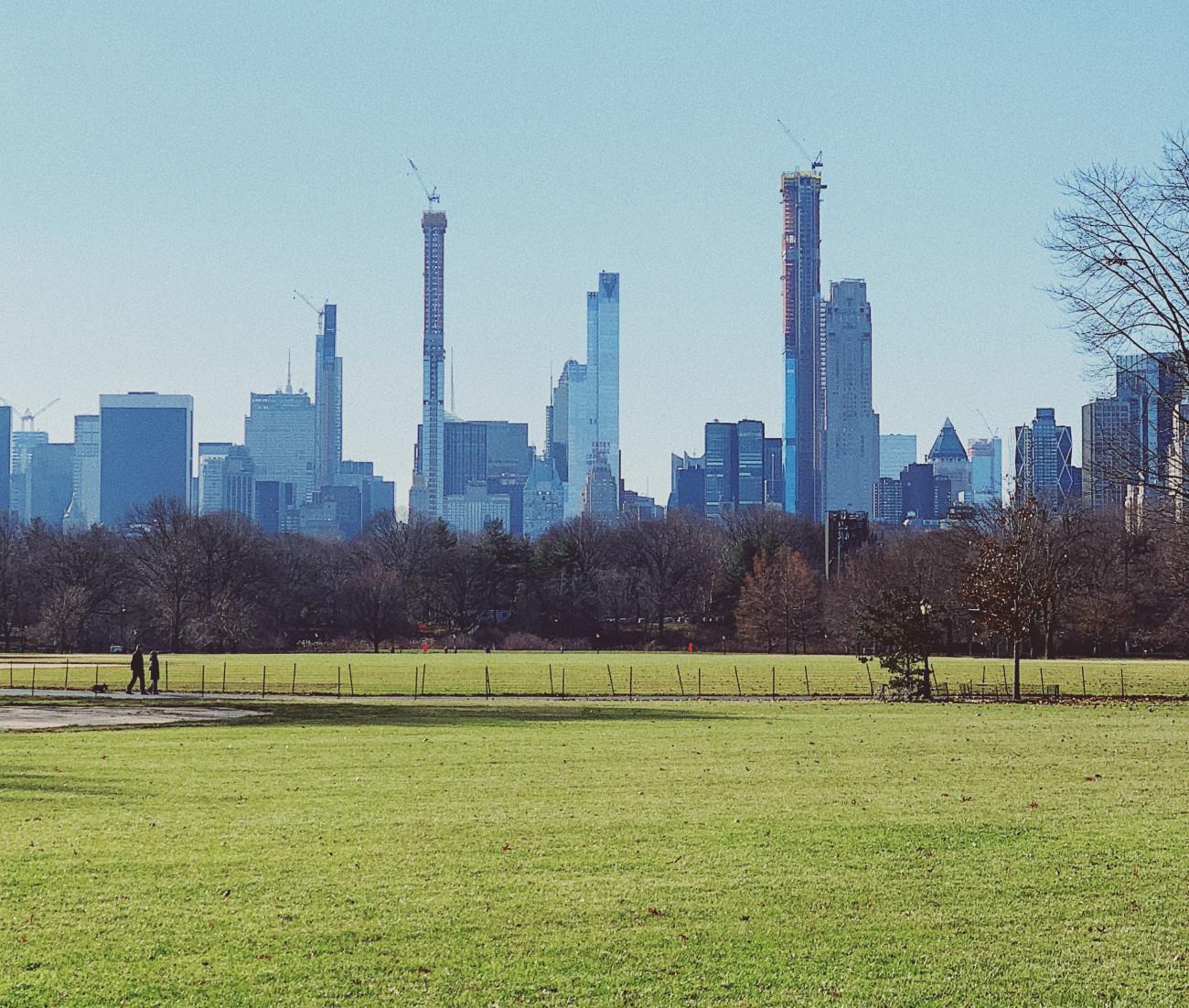 Stadtgrün durch Garten- und Landschaftsbau Stadtgrün durch Garten- und Landschaftsbau