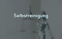 Selbstreinigung