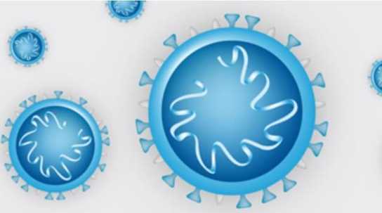 Mecklenburg-Vorpommern: Corona-Vergabeerlass verlängert